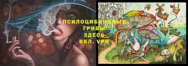 амф Покачи
