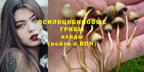 твердый Абаза