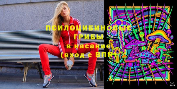 твердый Абаза
