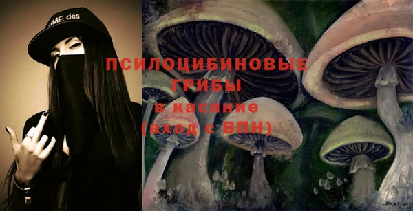 тгк Абинск