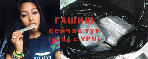 гашик Алексеевка
